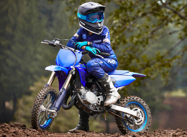 2024 YZ65