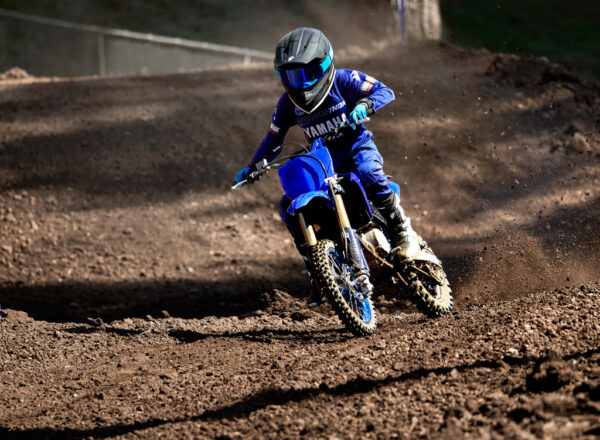 2024 YZ65