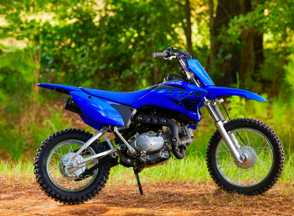 2024 TT-R110