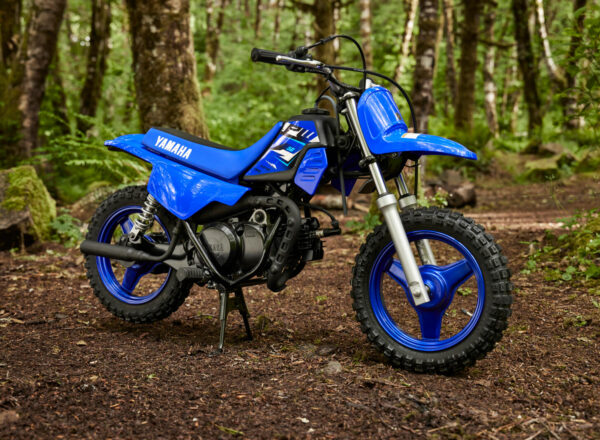2027 PW50