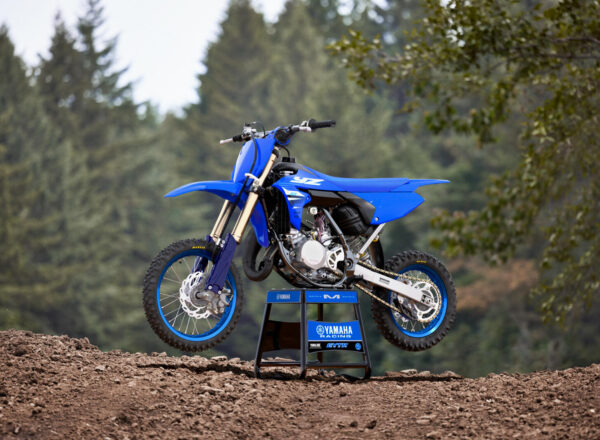 2025 YZ65