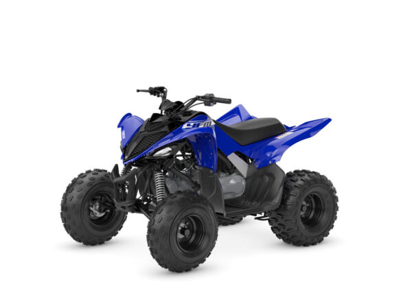 2026 YFM110R