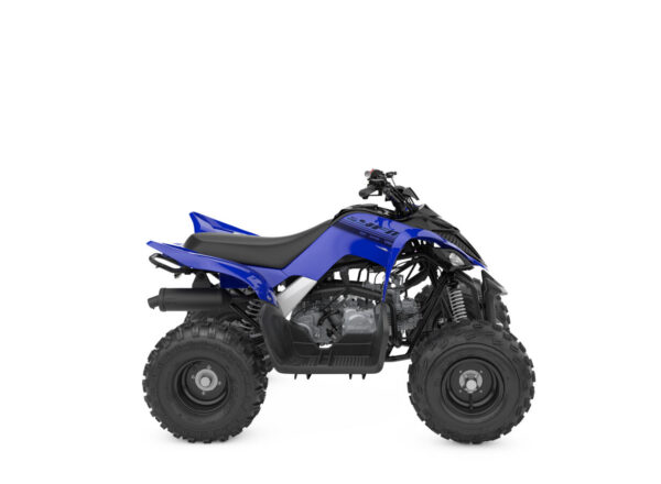 2025 YFM110R