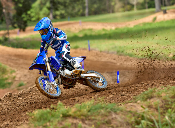 2026 YZ65