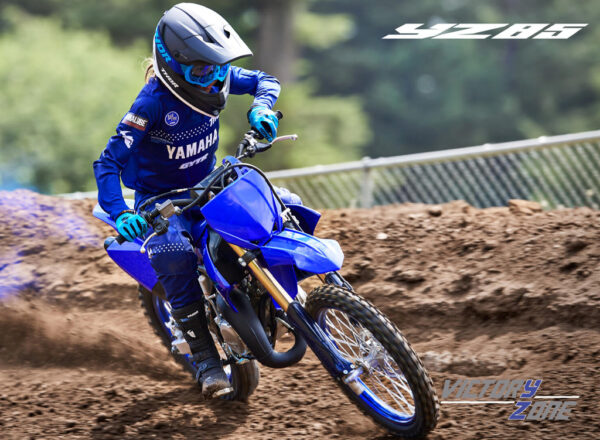 2024 YZ85