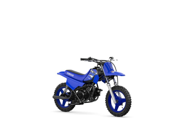 2026 PW50