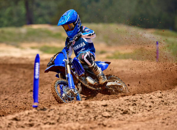 2027 YZ65