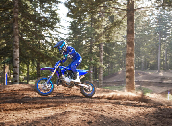 2025 YZ65