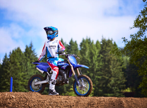 2025 YZ65