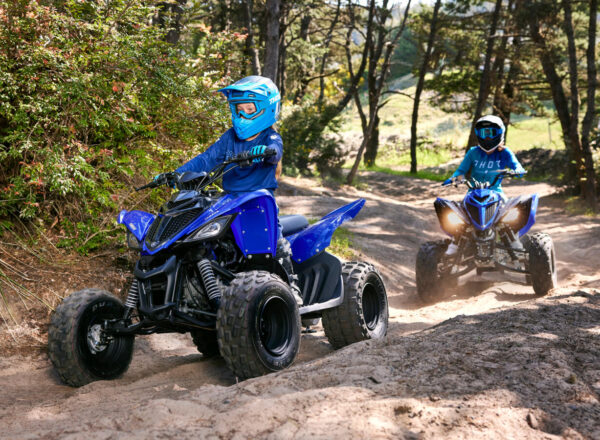 2025 YFM110R