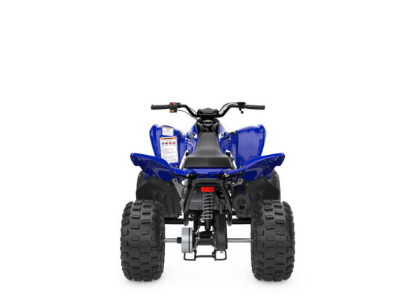 2026 YFM110R