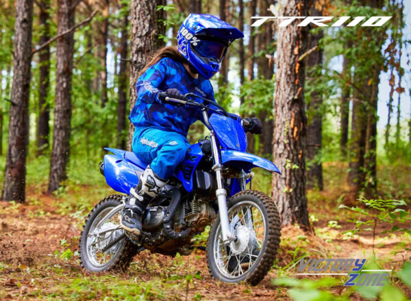 2024 TT-R110