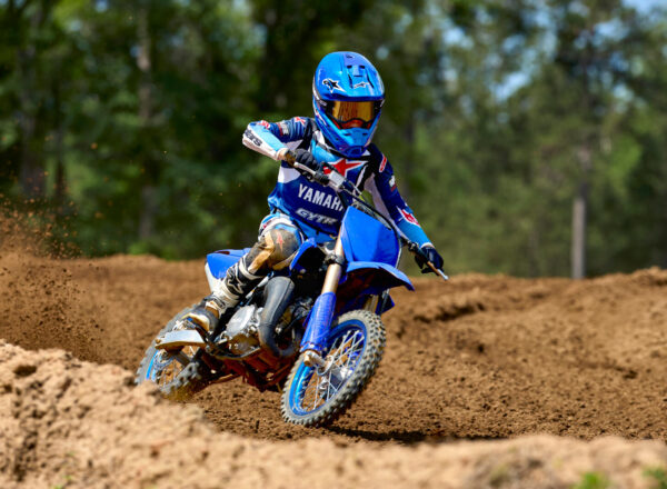 2026 YZ65
