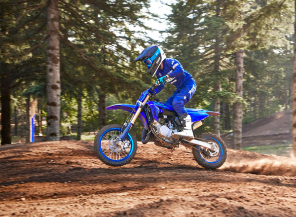 2024 YZ65