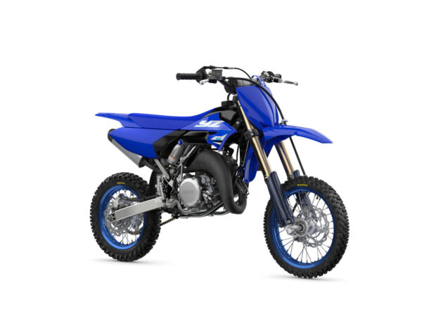 2025 YZ65