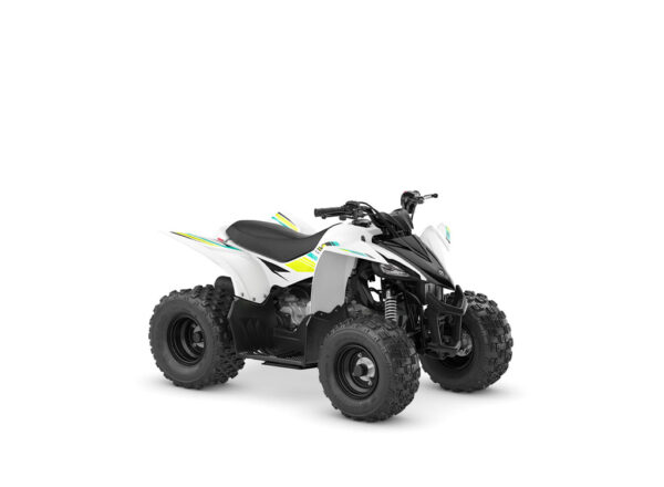 2022 YFZ50