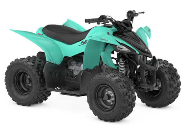 2025 YFZ50
