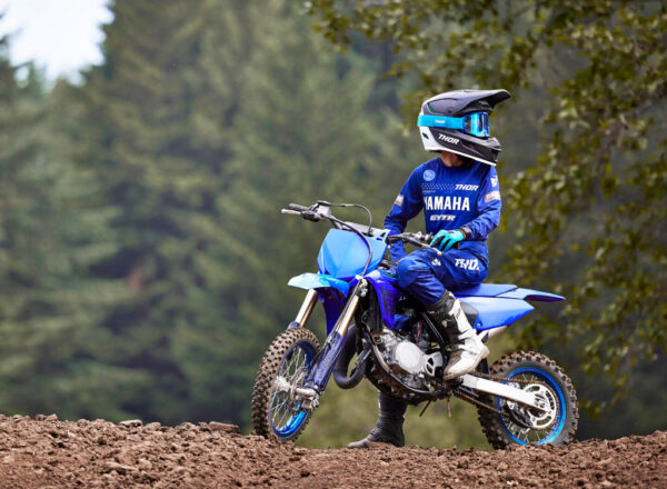 2024 YZ65
