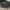 2022 Zero DSR/X