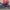 2023 Yamaha Tenere 700