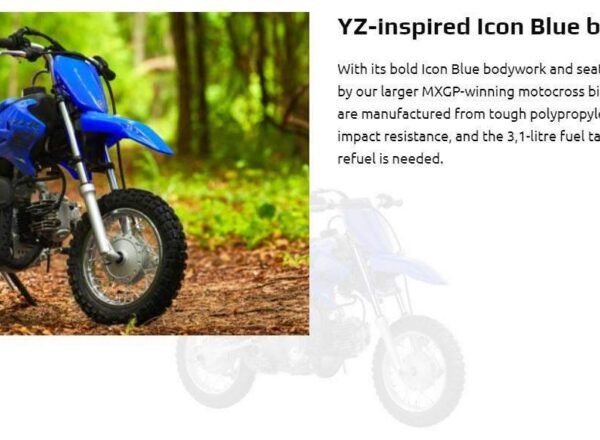 New Yamaha TTR50