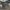 2022 Zero DSR/X